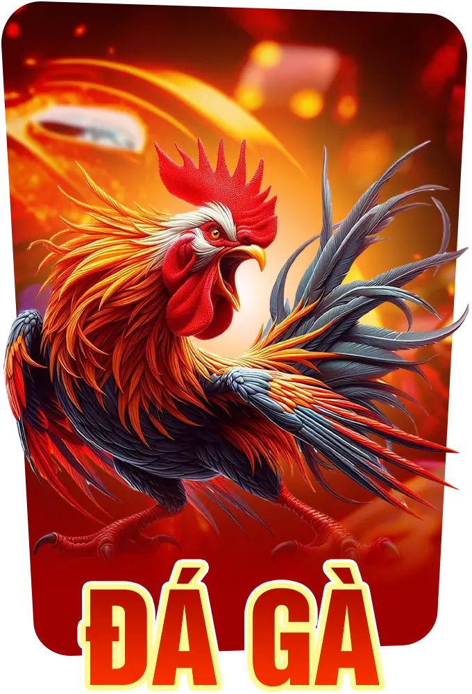 đá gà j88