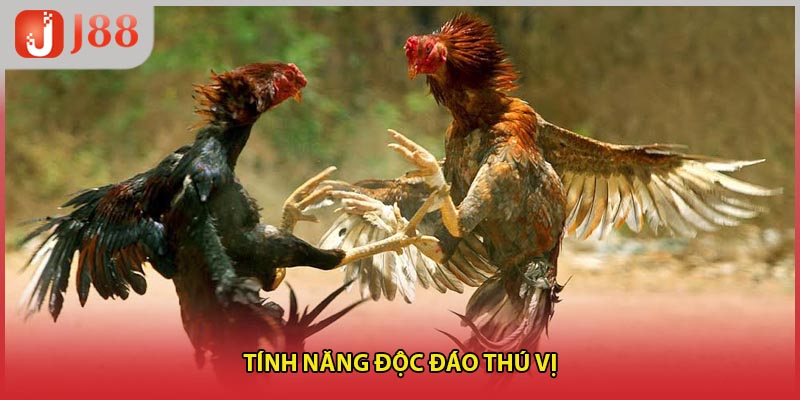 Tính năng độc đáo thú vị